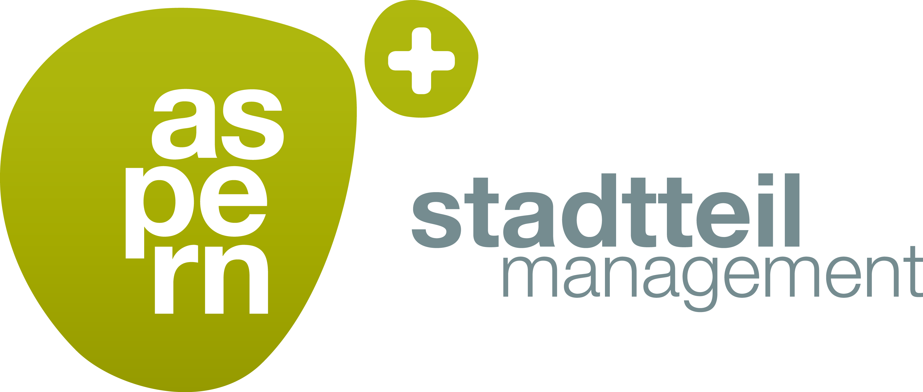 Logo STM