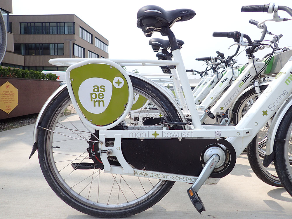 Mobility as a (Shared) Service Plus
