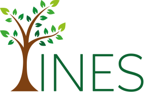 Logo des Studierendenprojekts INES